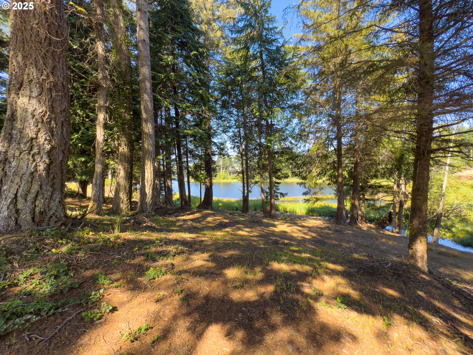 Bradley Lake LN 1601