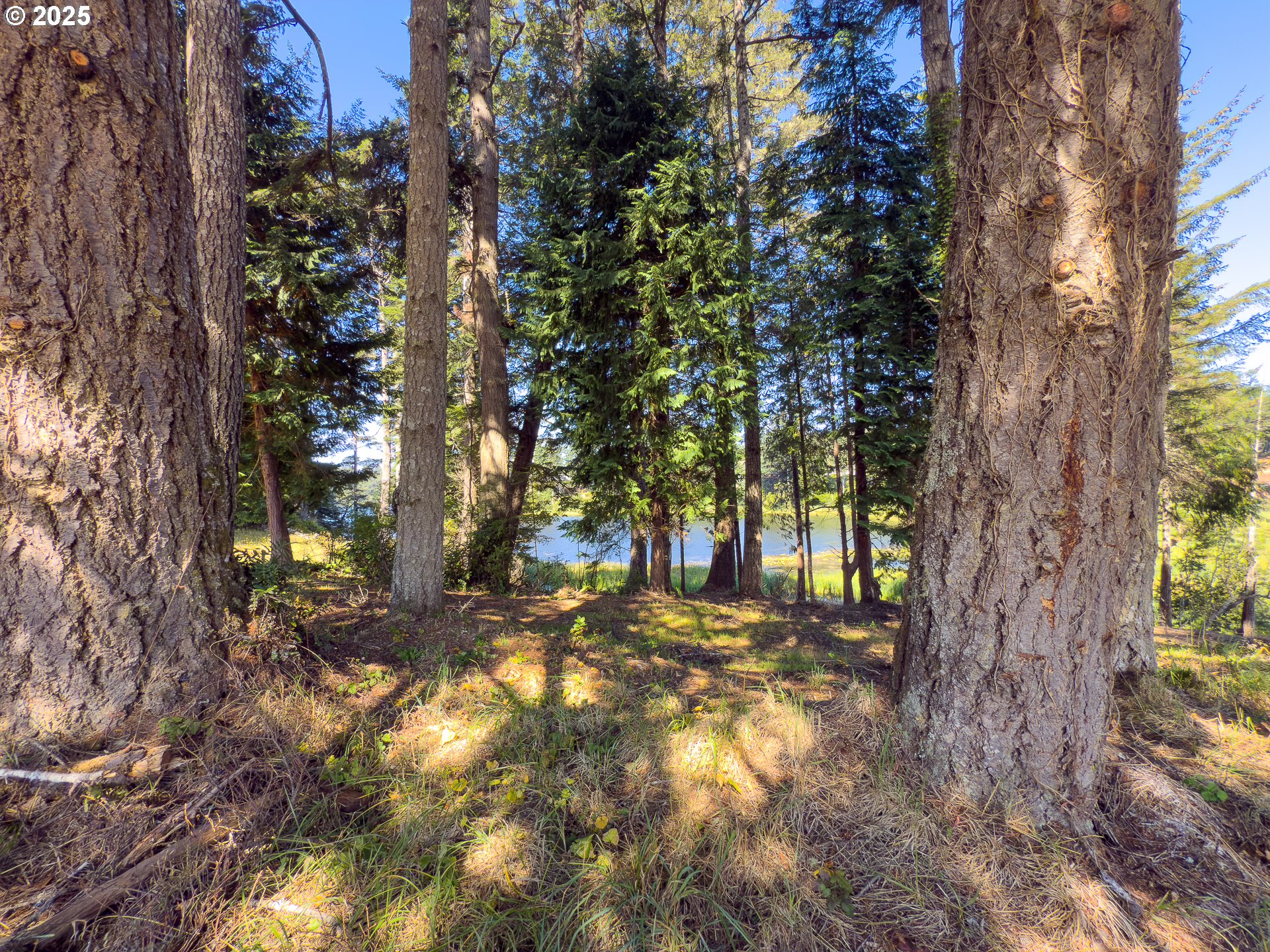 Bradley Lake LN 1601
