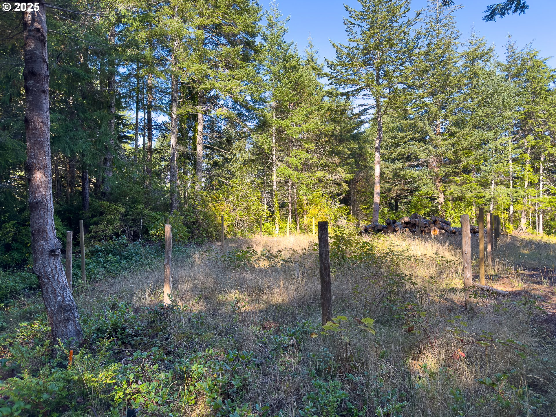 88629 WEISS ESTATES LN, Bandon