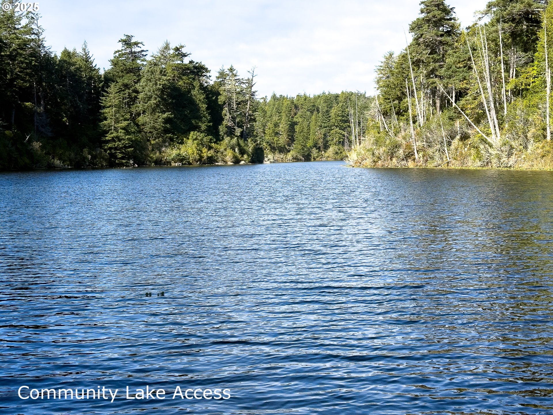 88629 WEISS ESTATES LN, Bandon