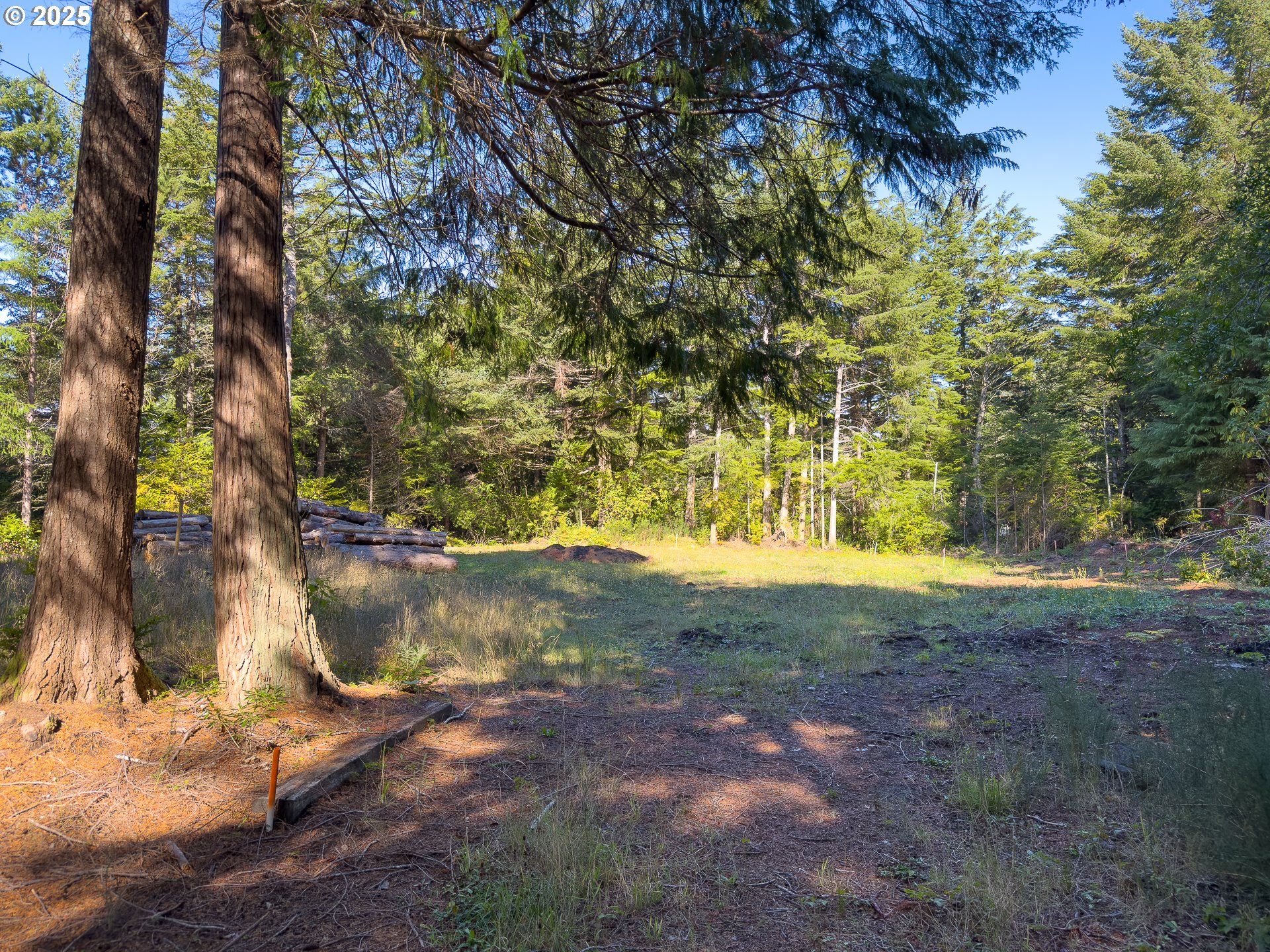 88629 WEISS ESTATES LN, Bandon