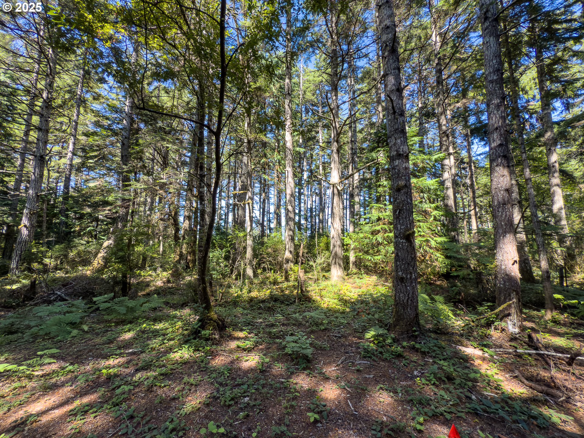 Bradley Lake LN 1602