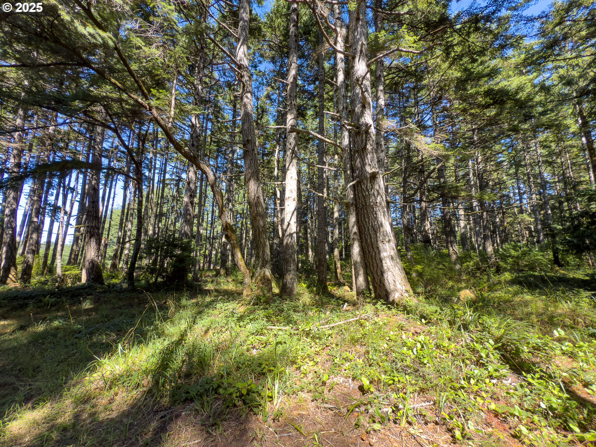 Bradley Lake LN 1602