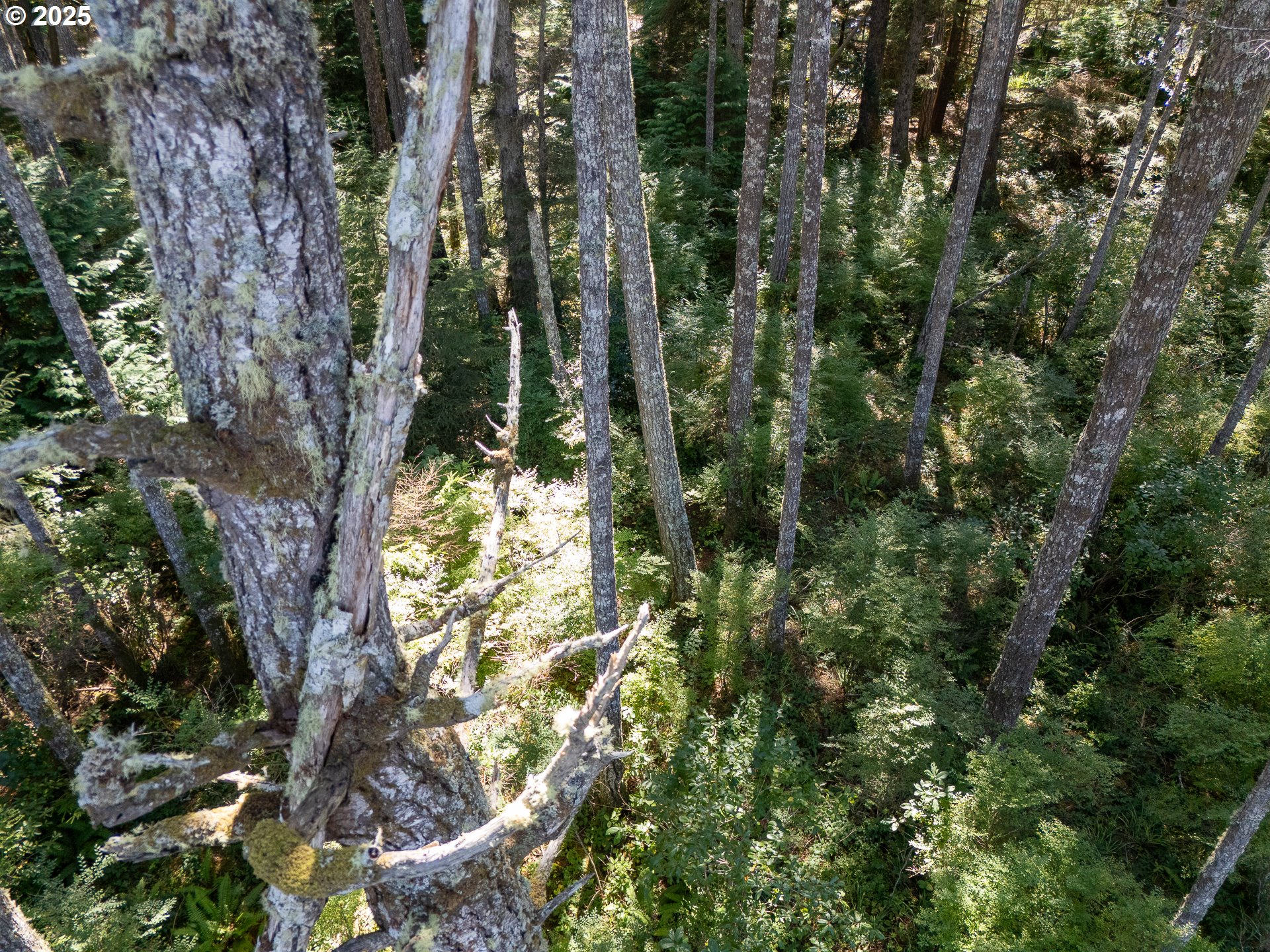 Bradley Lake LN 1602