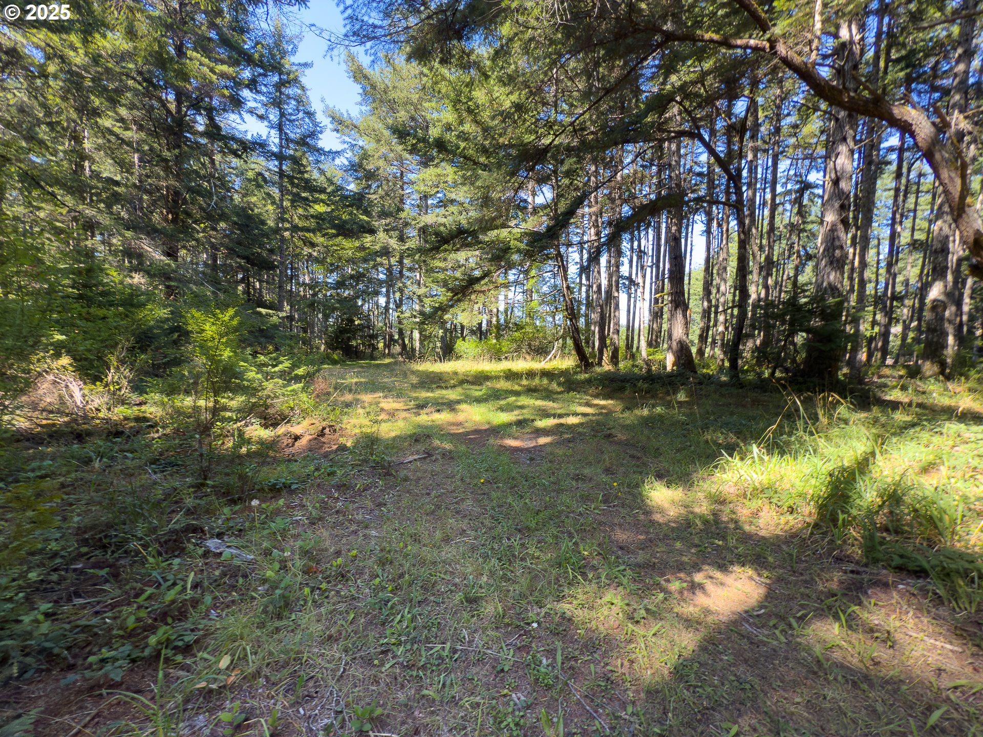 Bradley Lake LN 1602