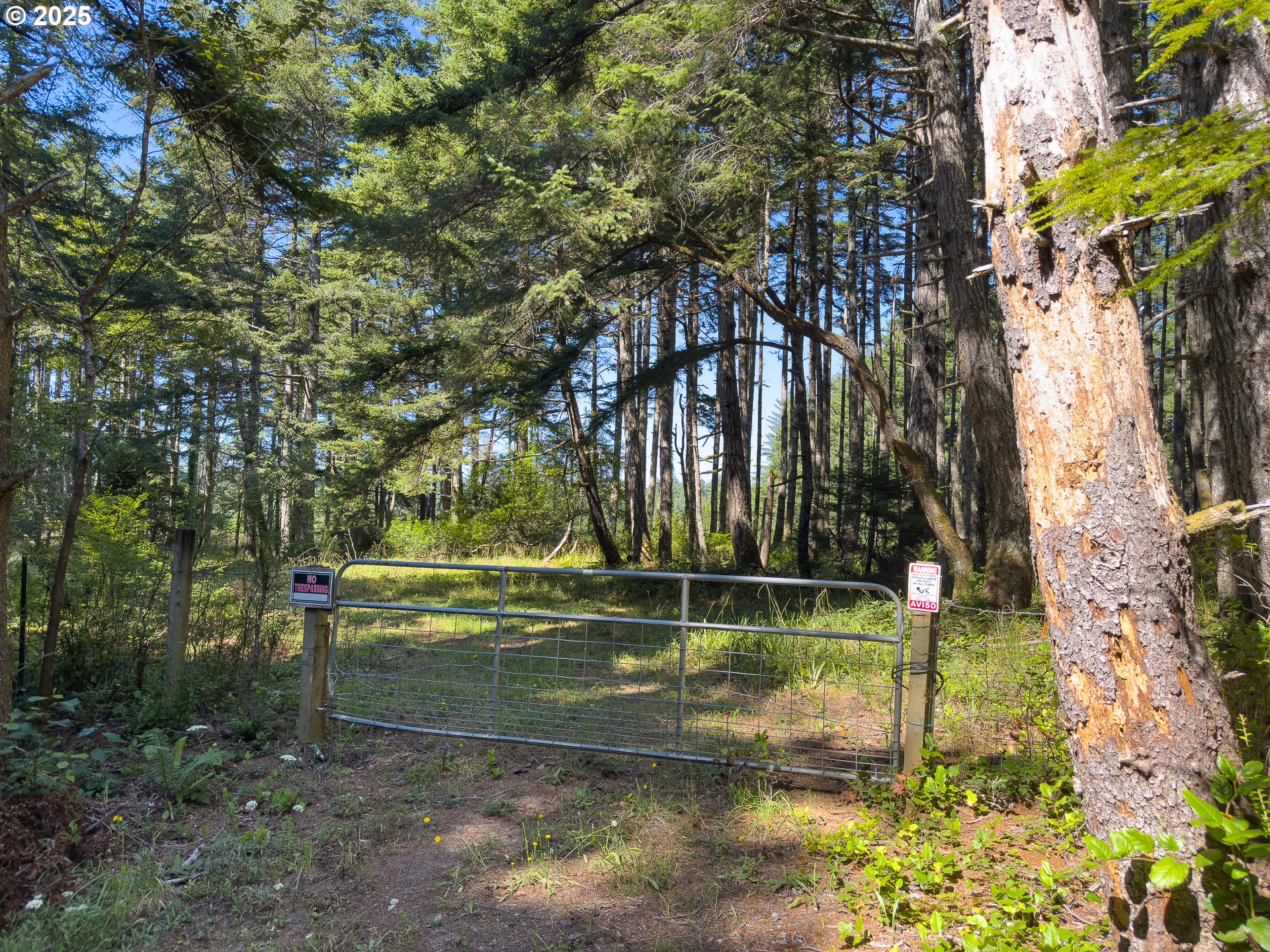 Bradley Lake LN 1602