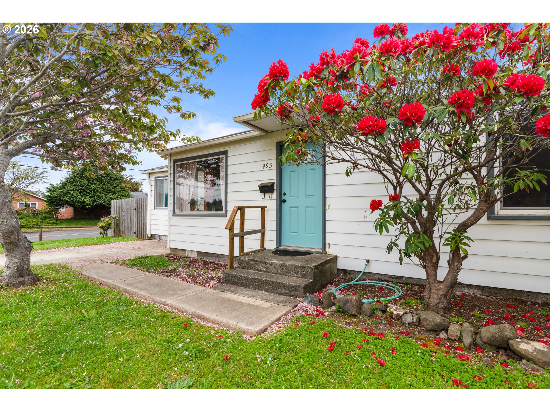 993 SALMON AVE