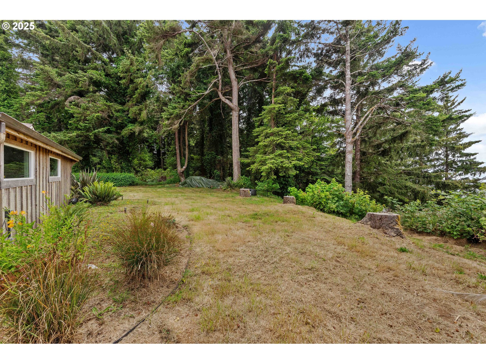 1023 MICHIGAN AVE NE