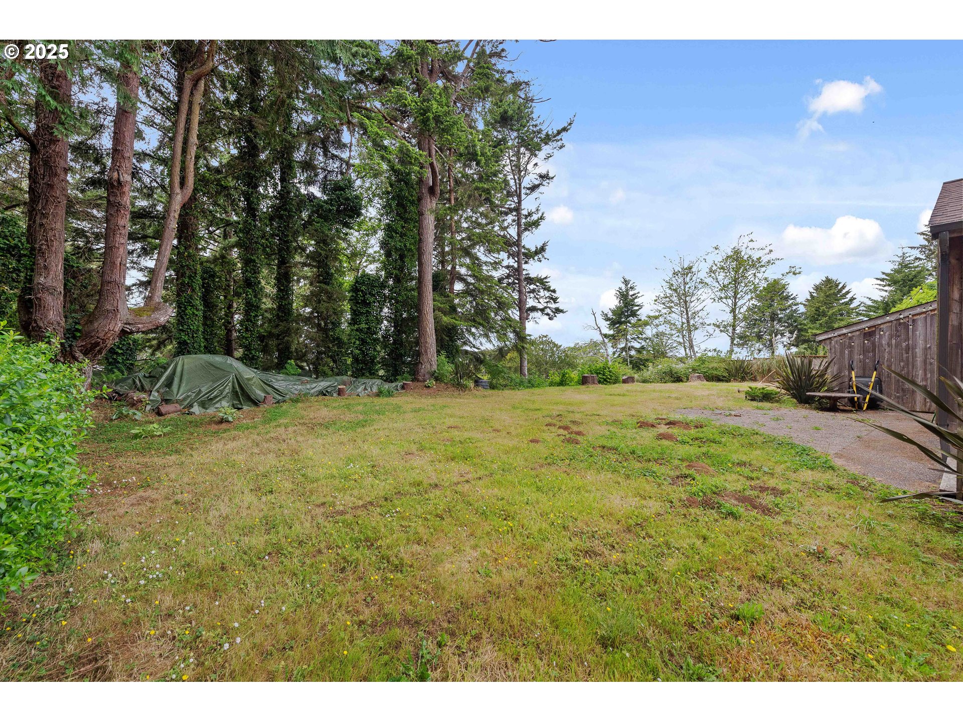 1023 MICHIGAN AVE NE