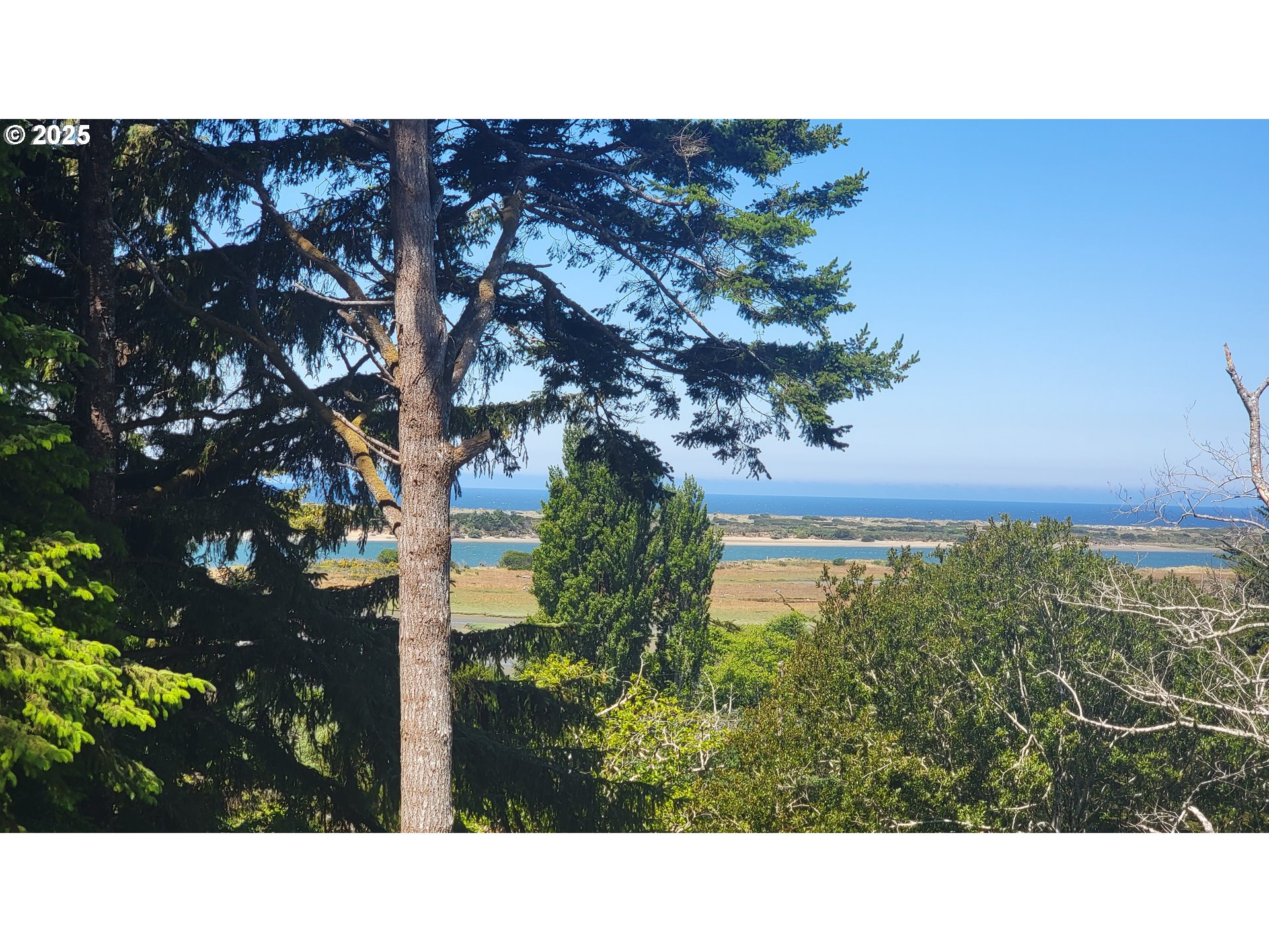 1023 MICHIGAN AVE NE