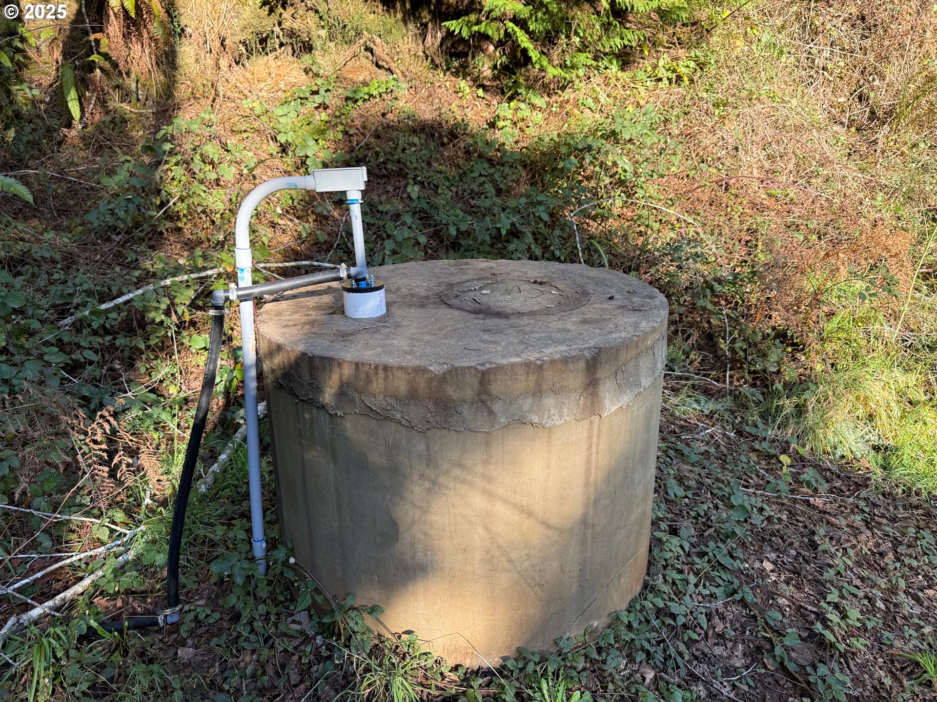 56020 SPRING CREEK RD, Bandon