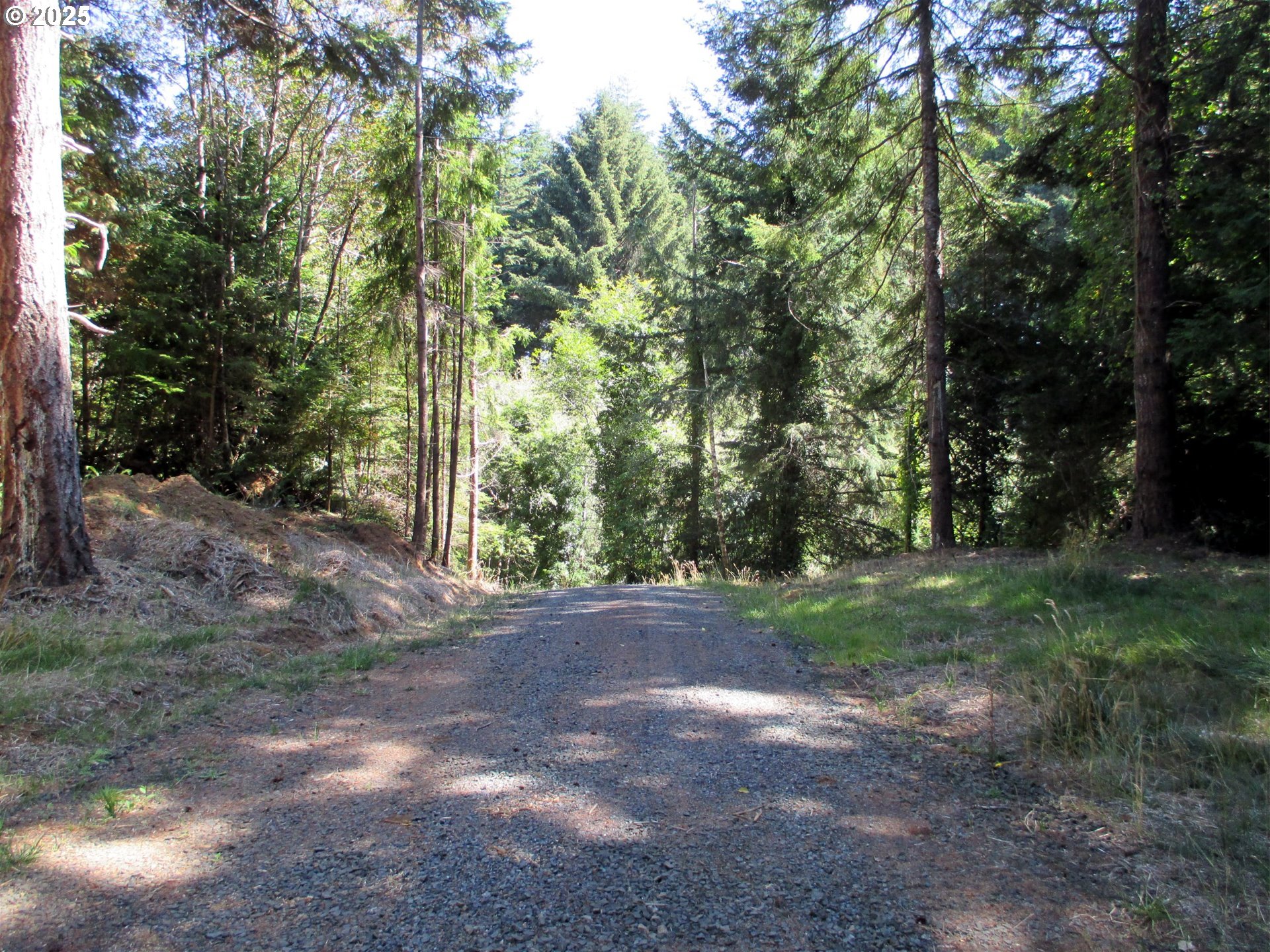 56020 SPRING CREEK RD, Bandon