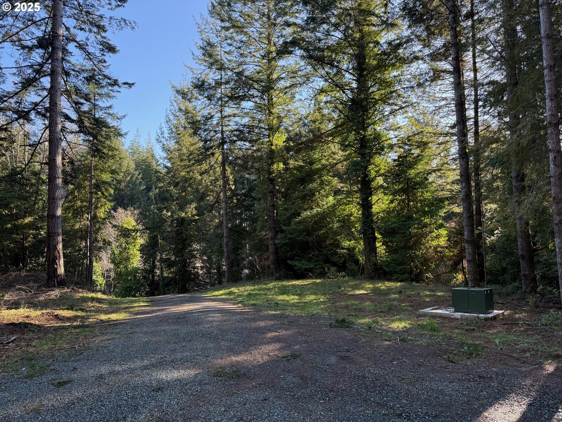 56020 SPRING CREEK RD, Bandon