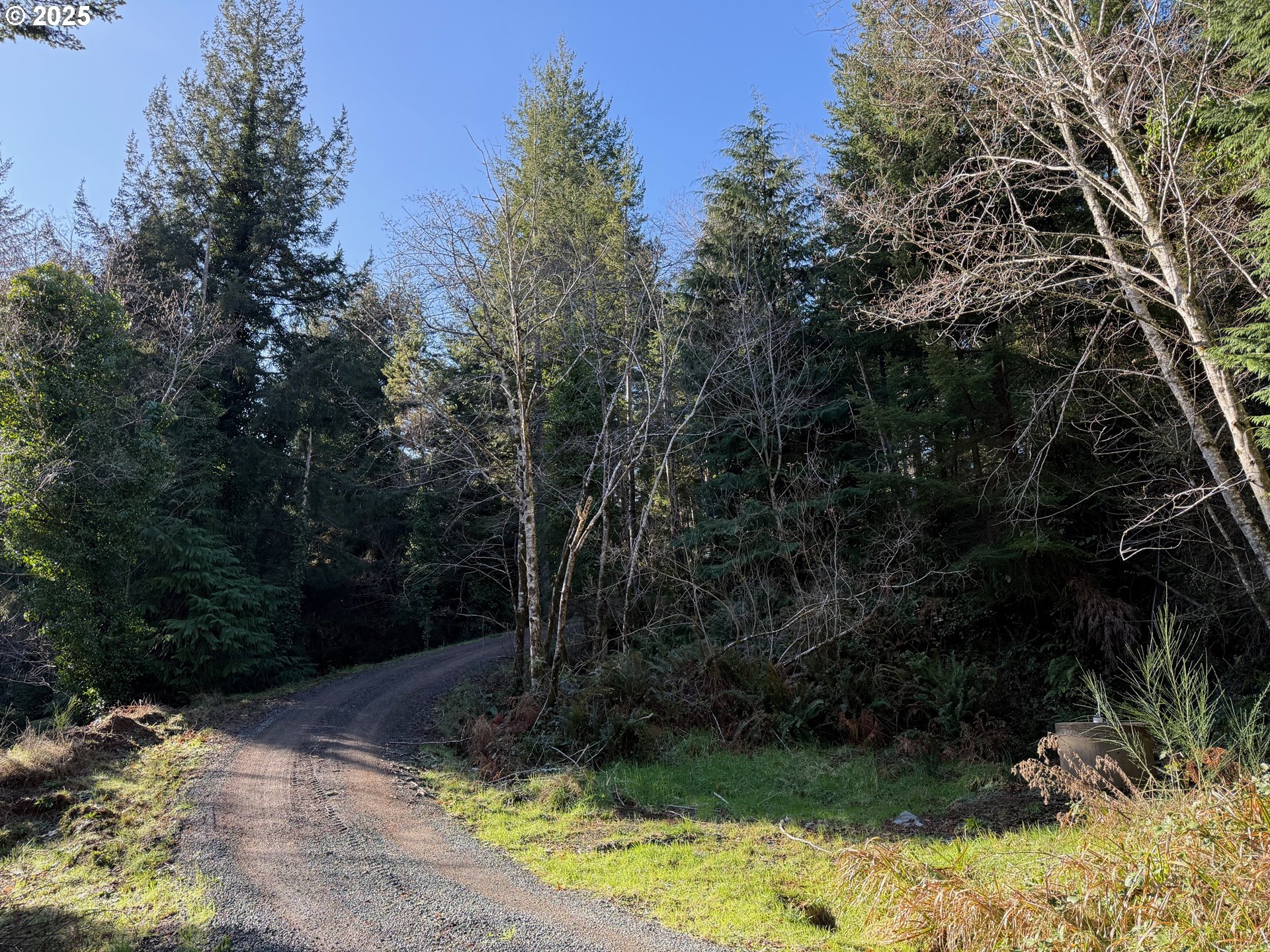 56020 SPRING CREEK RD, Bandon