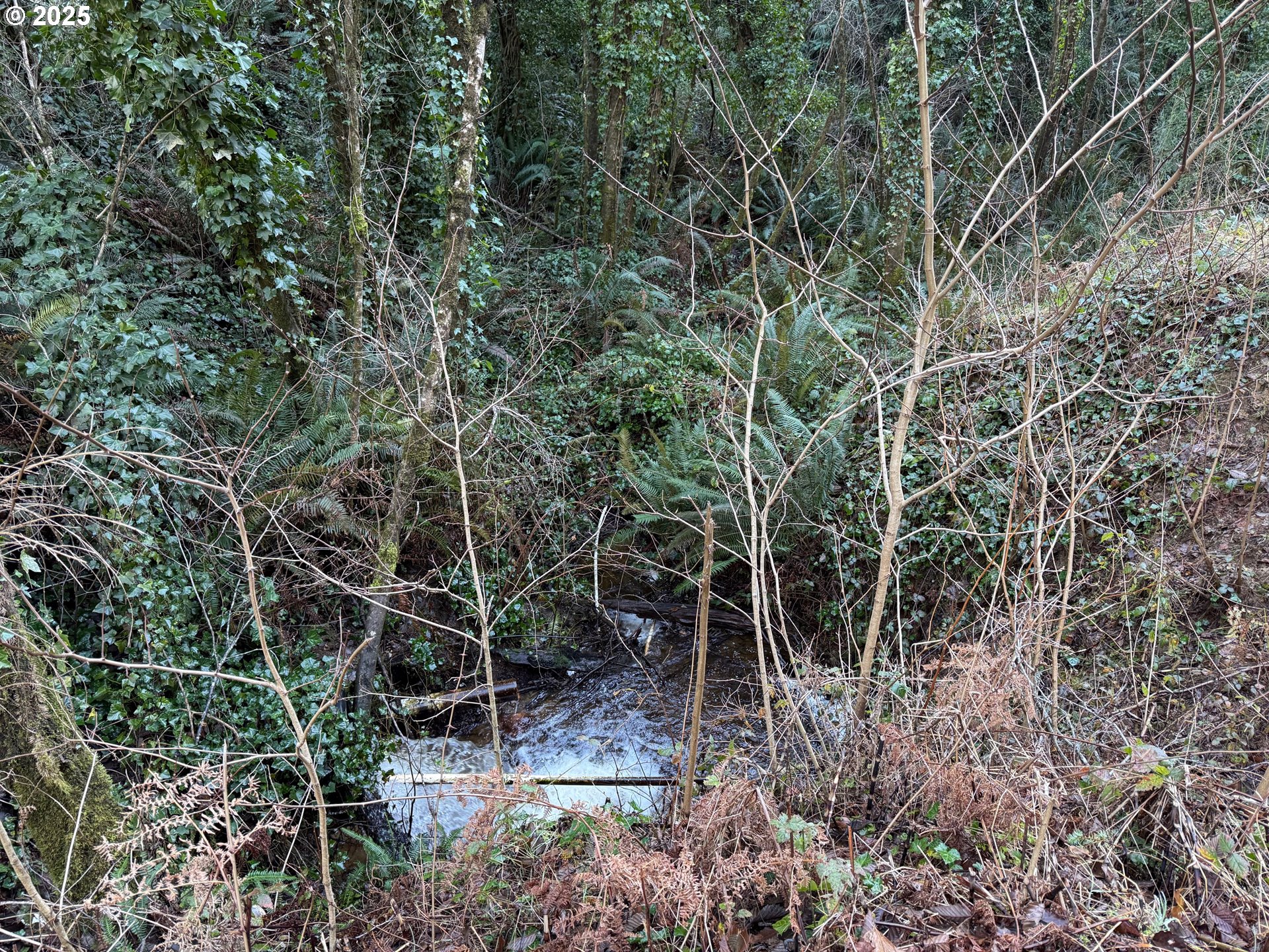 56020 SPRING CREEK RD, Bandon