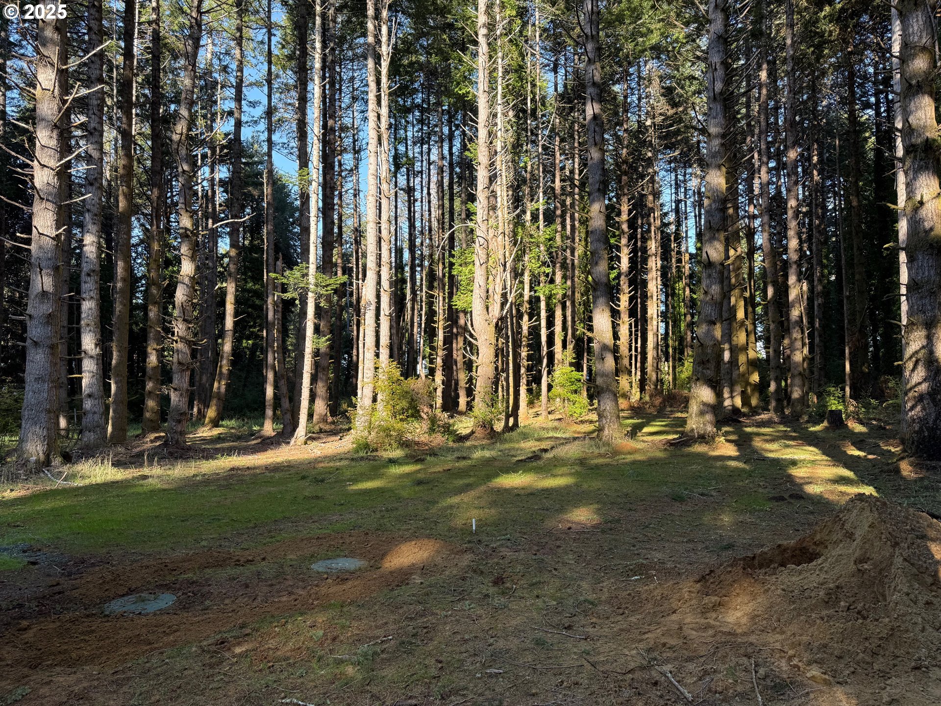 56020 SPRING CREEK RD, Bandon