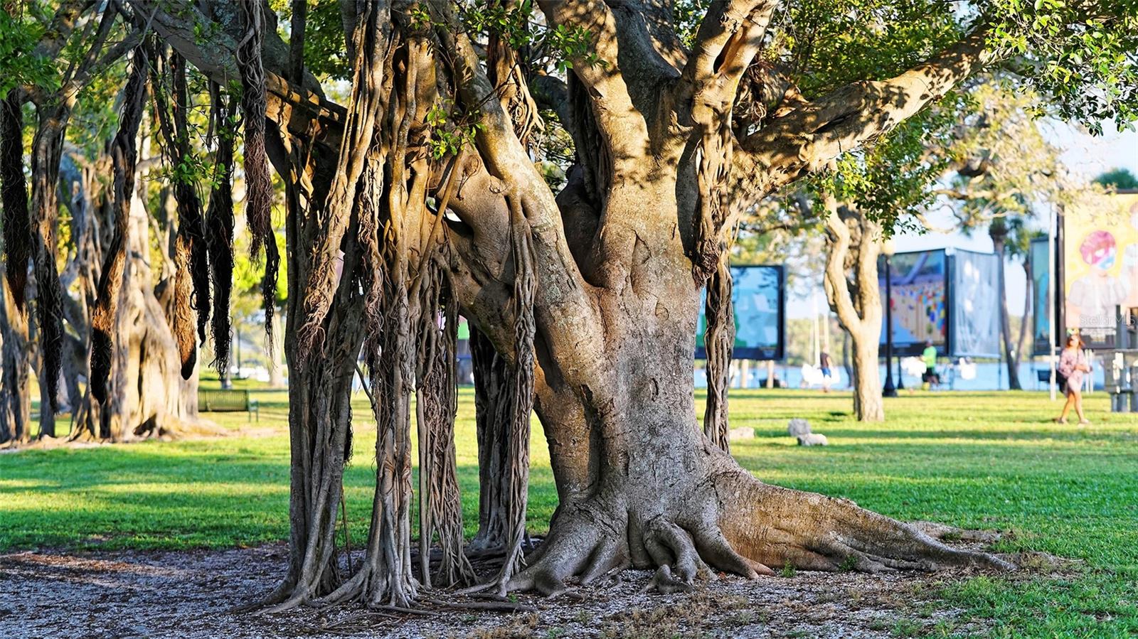 1155 N GULFSTREAM AVE #1106