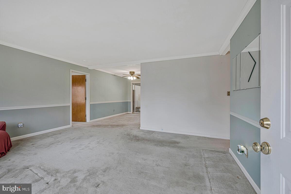 1237 QUEEN ANNE AVENUE