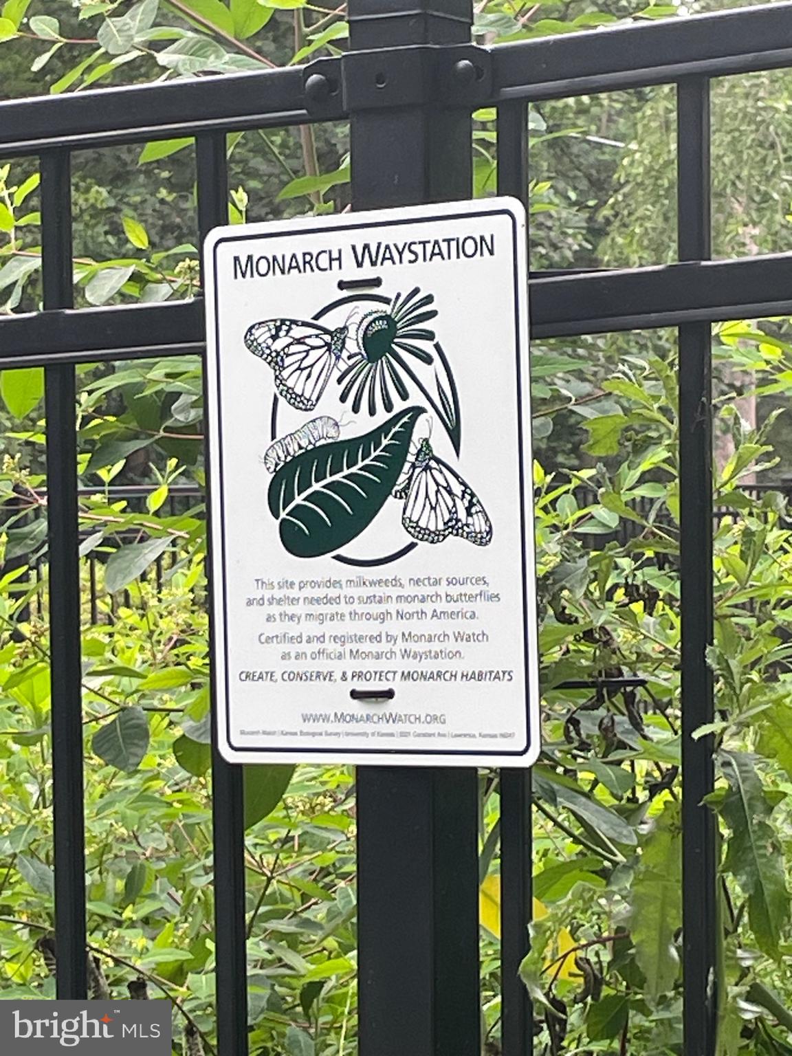 9101 SLIGO CREEK PARKWAY