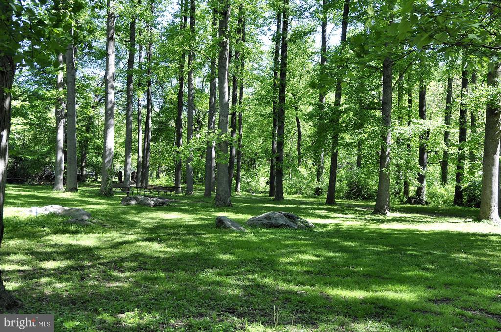 9101 SLIGO CREEK PARKWAY
