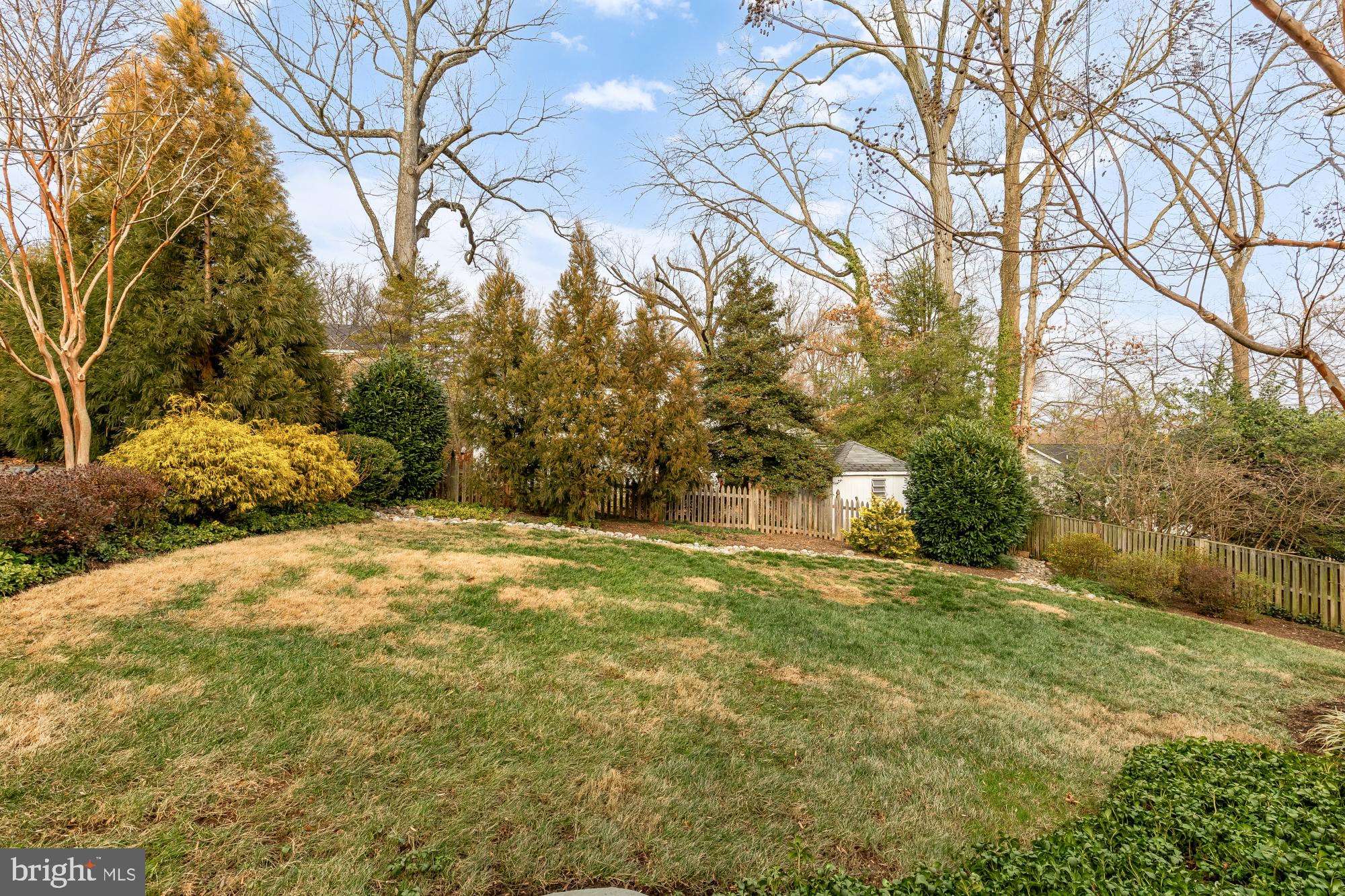 1511 LIVE OAK DRIVE