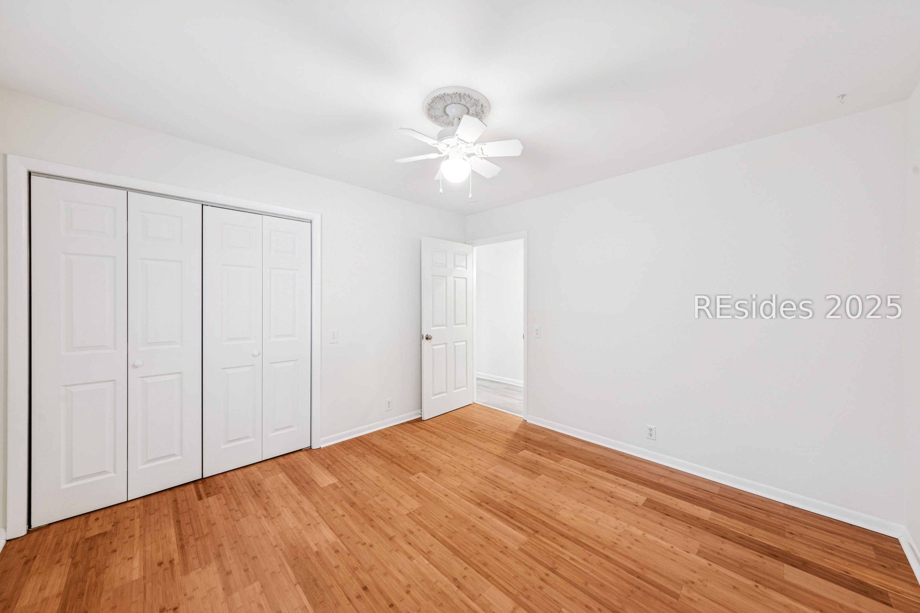 29 Oleander Street