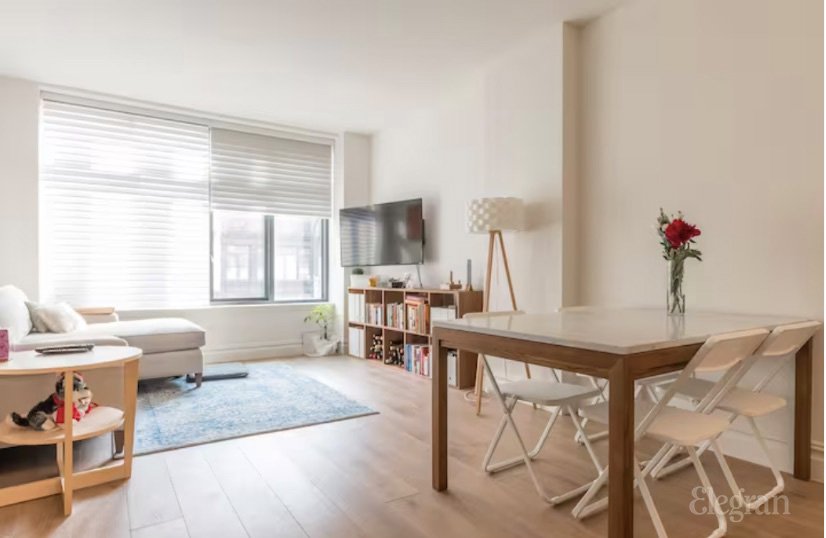 245 W 14th Street 3-A