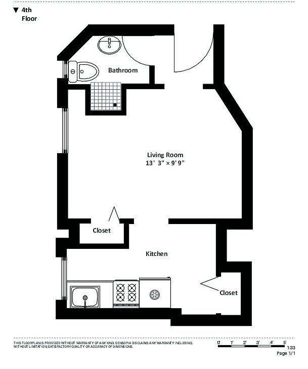 542 E 79th Street 5-T