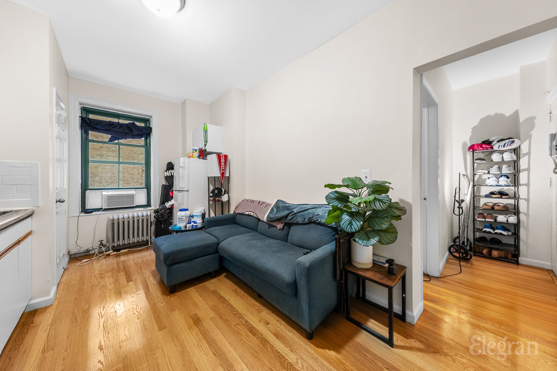 542 E 79th Street 3-D