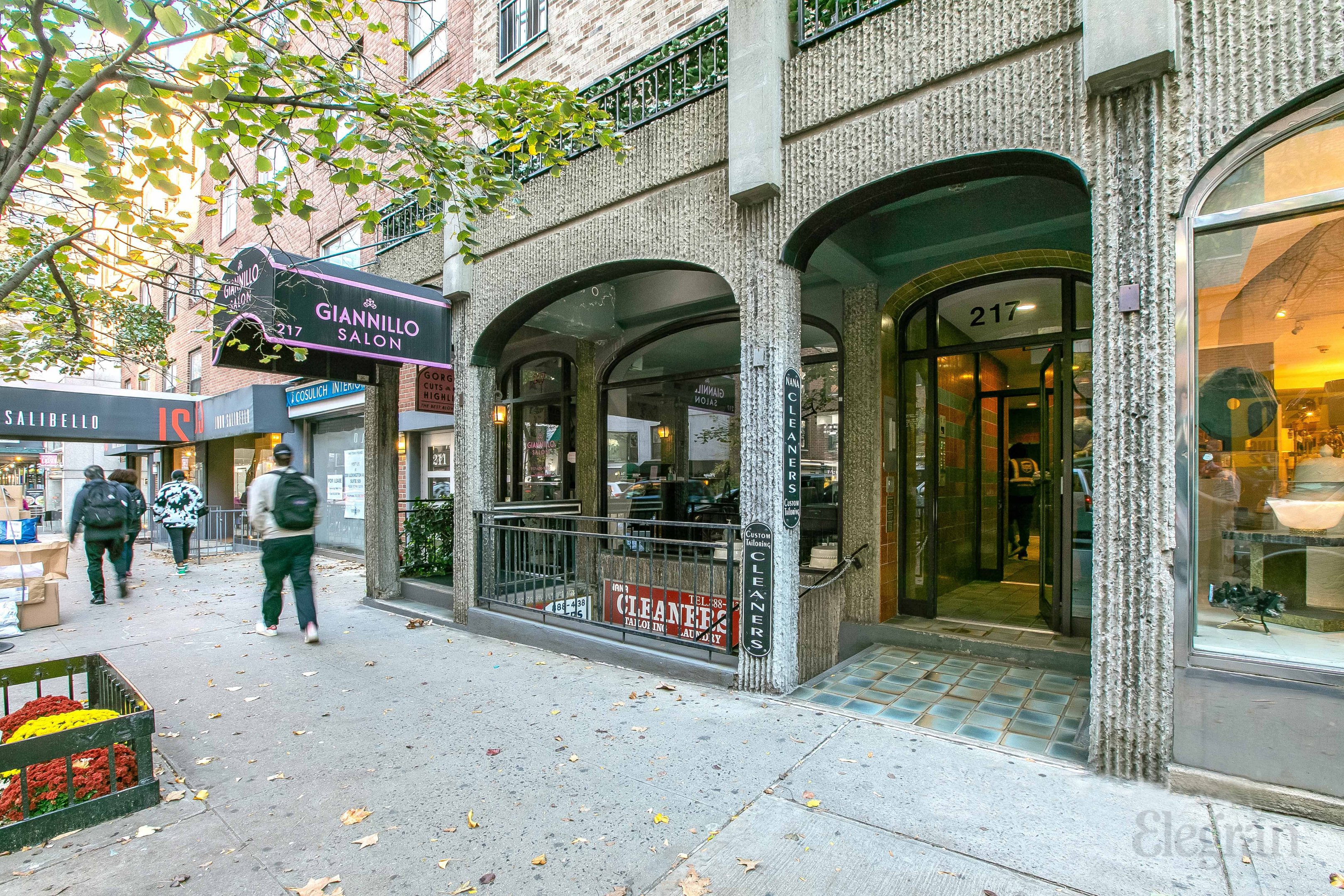 217 E 60th Street 501