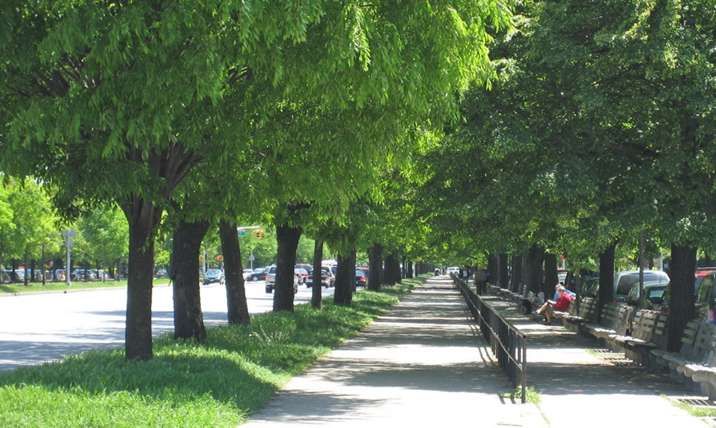 1802 Ocean Parkway D14
