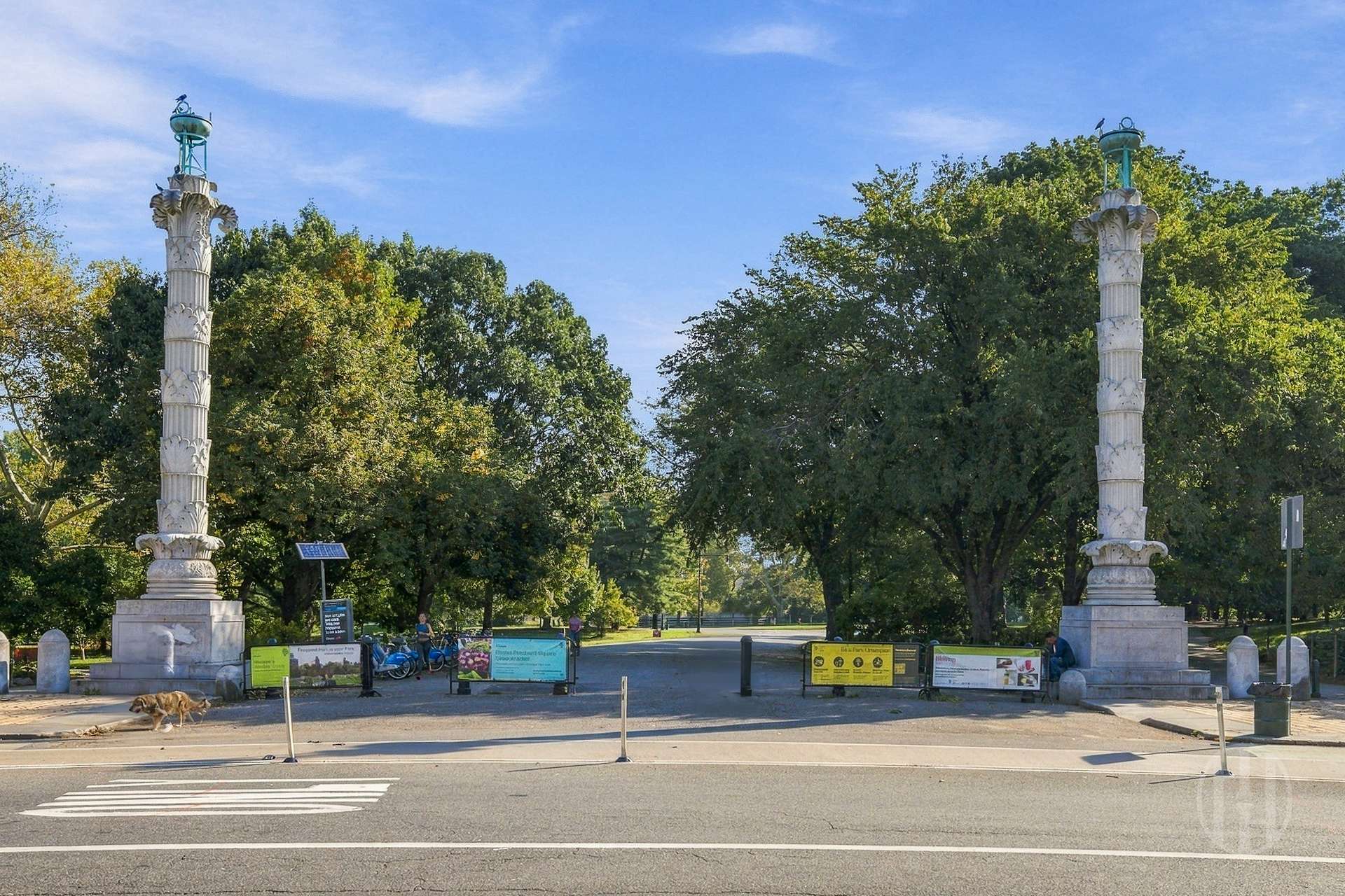 186 Prospect Park W C4