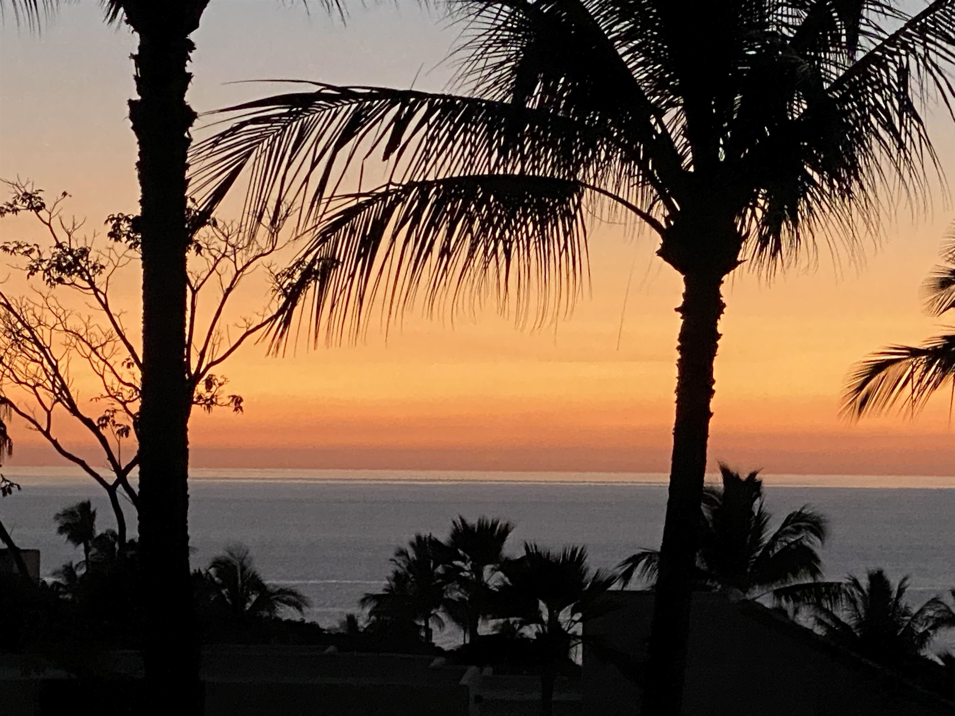 3150 WAILEA ALANUI Dr Unit: 2504