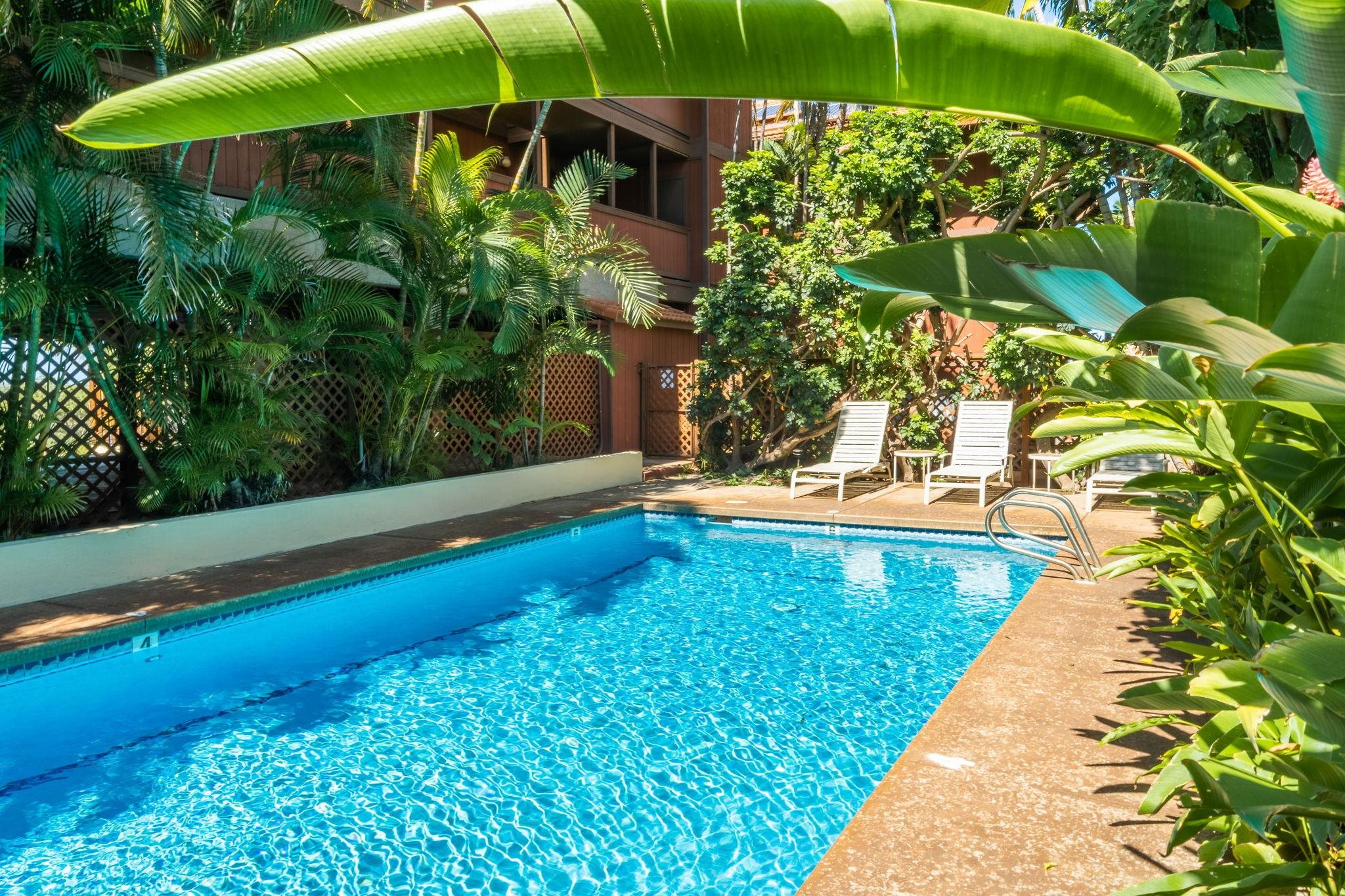 99 WALAKA St Unit: 12A