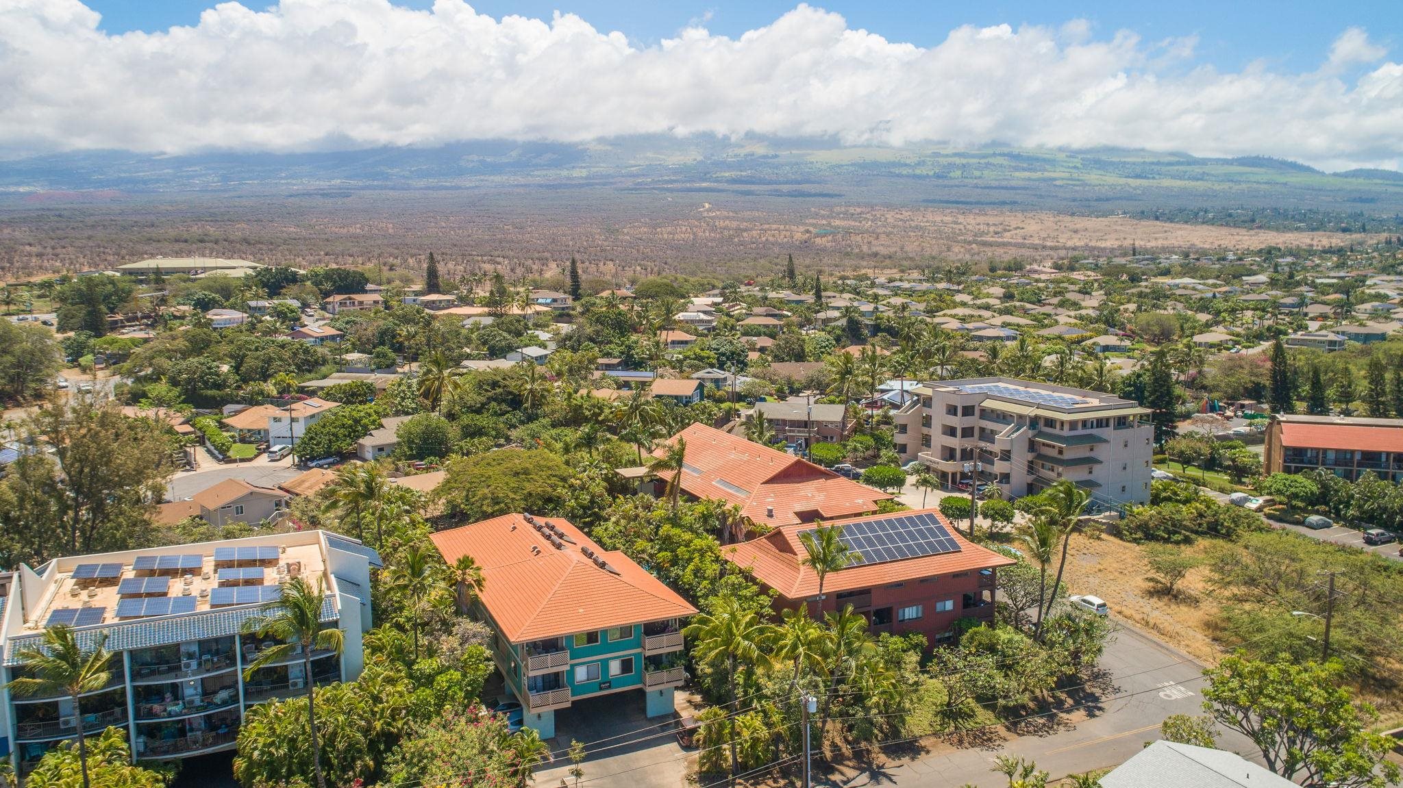 99 WALAKA St Unit: 12A