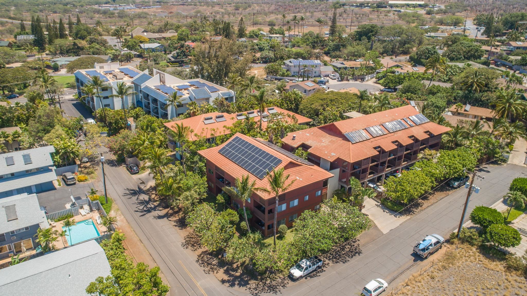 99 WALAKA St Unit: 12A