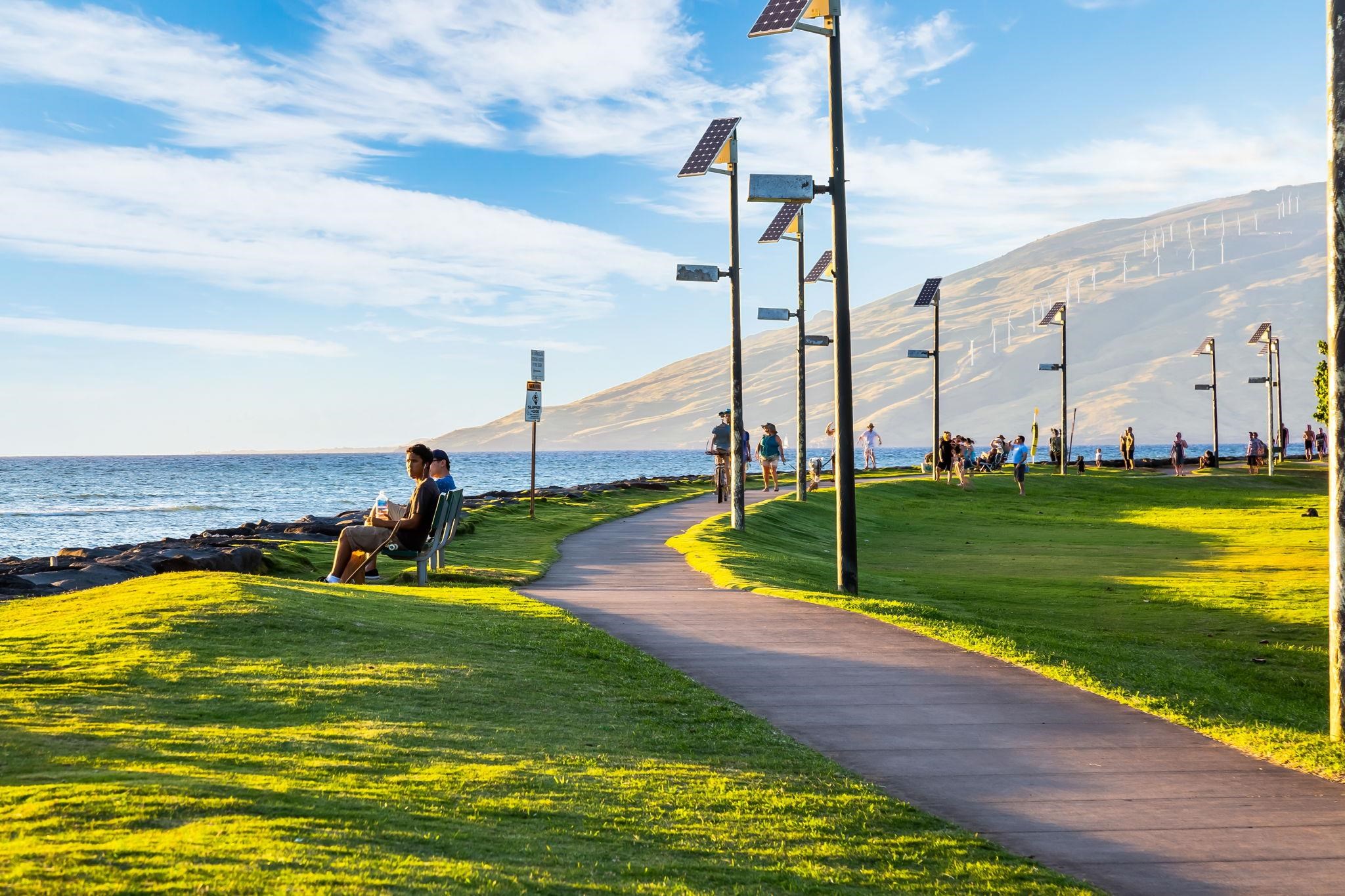 99 WALAKA St Unit: 12A