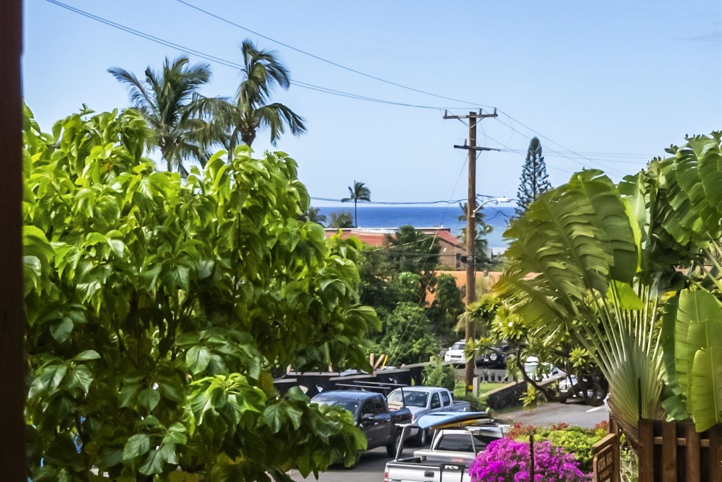 99 WALAKA St Unit: 12A