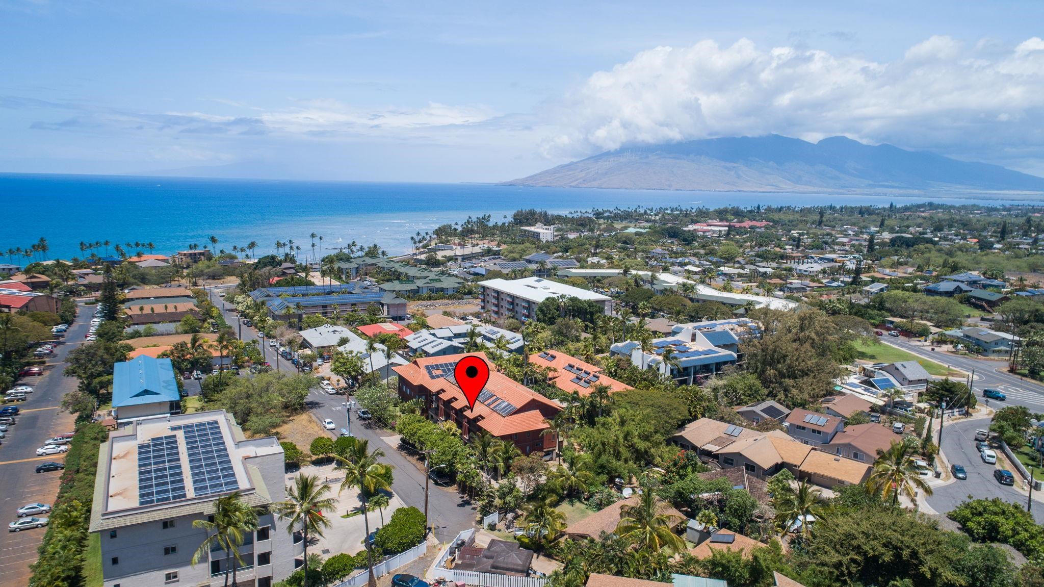 99 WALAKA St Unit: 12A