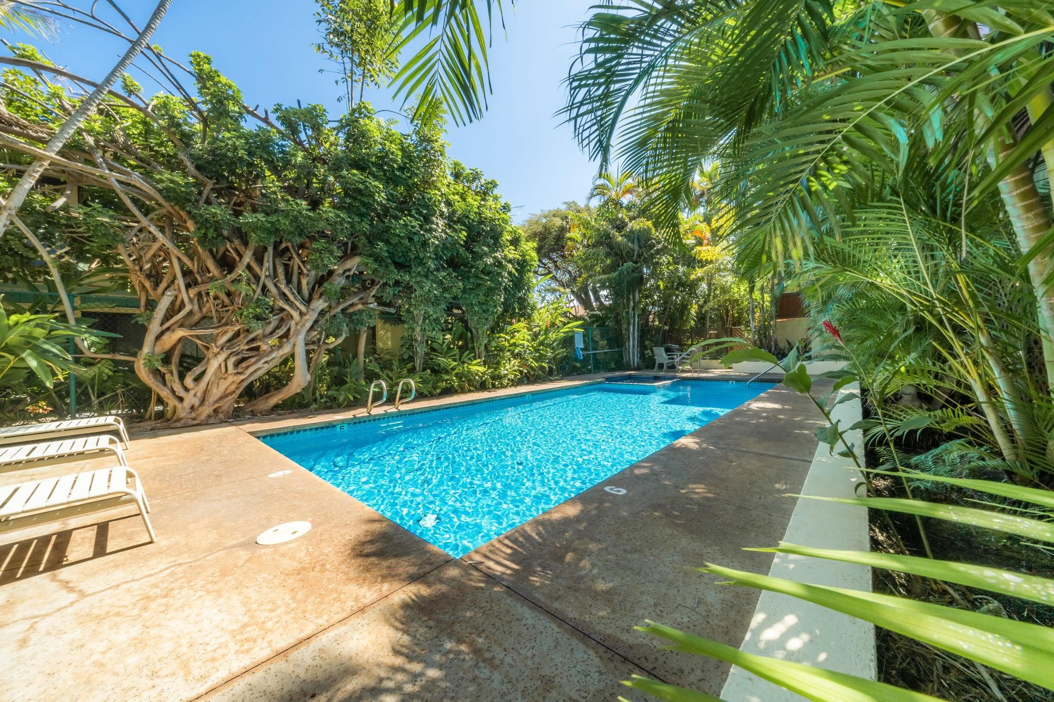 99 WALAKA St Unit: 12A