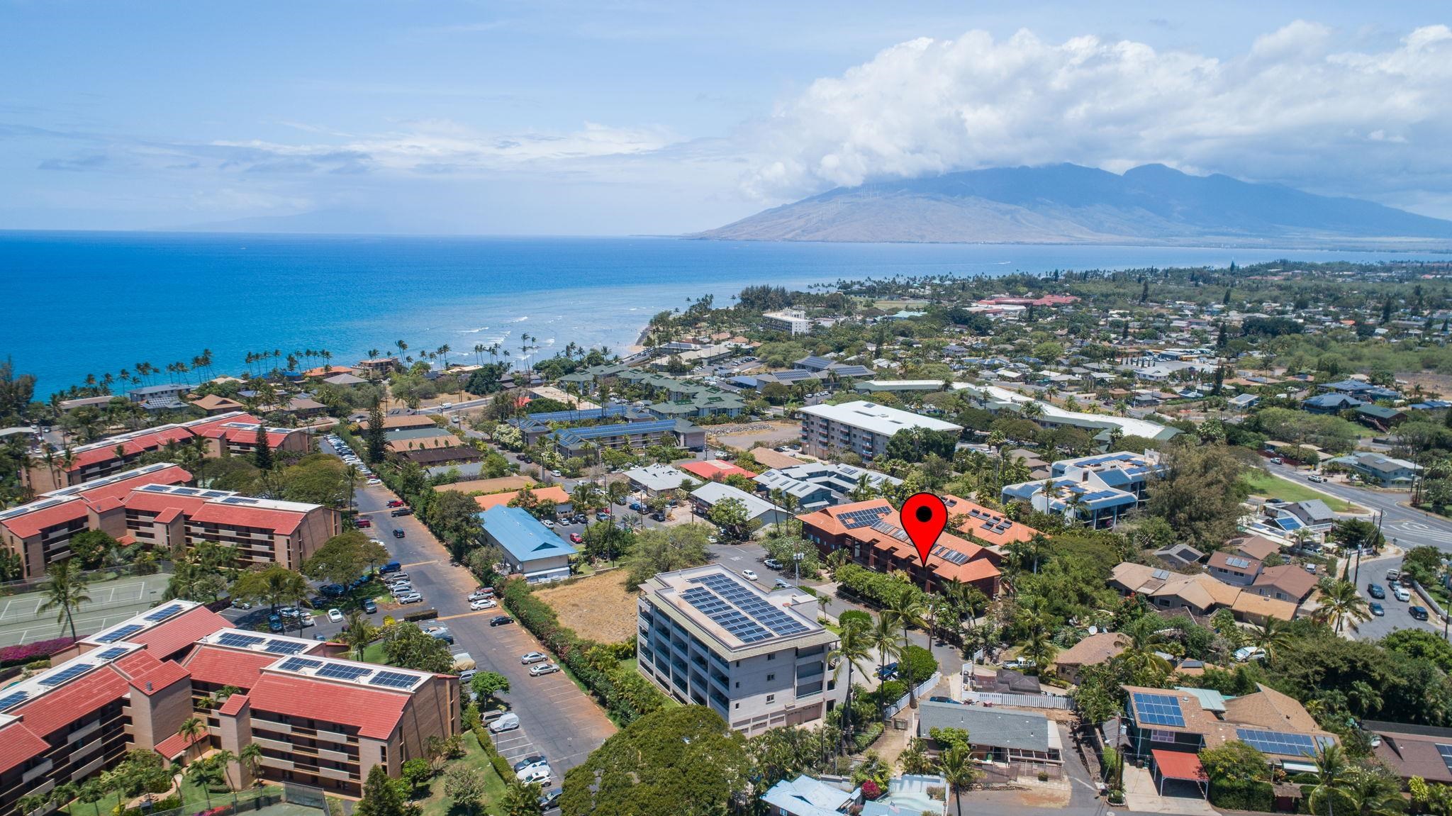 99 WALAKA St Unit: 12A