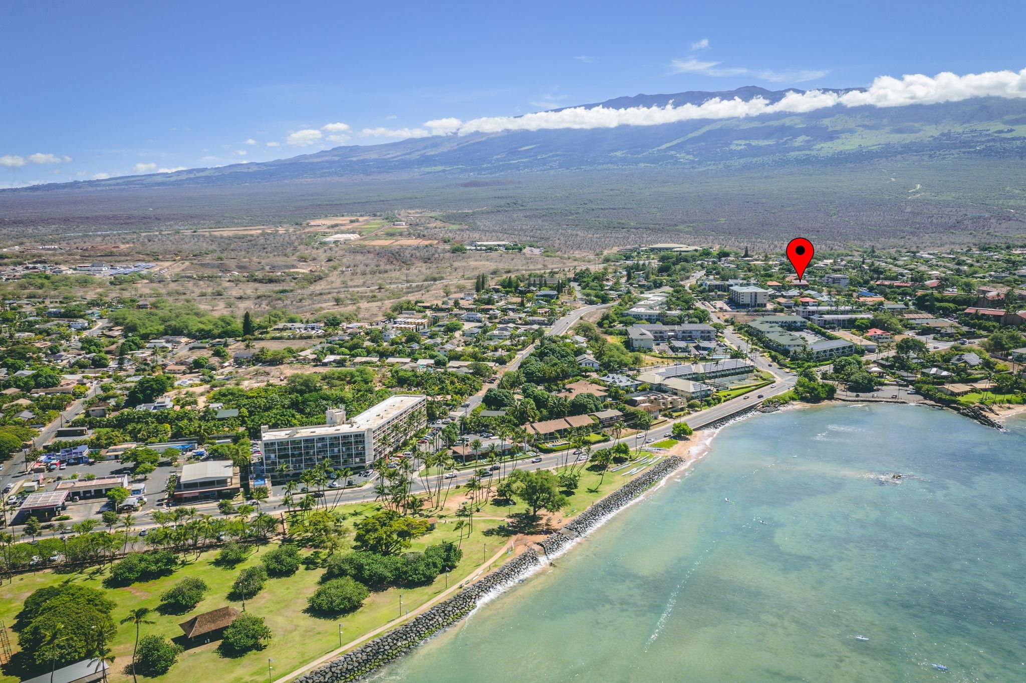 99 WALAKA St Unit: 12A