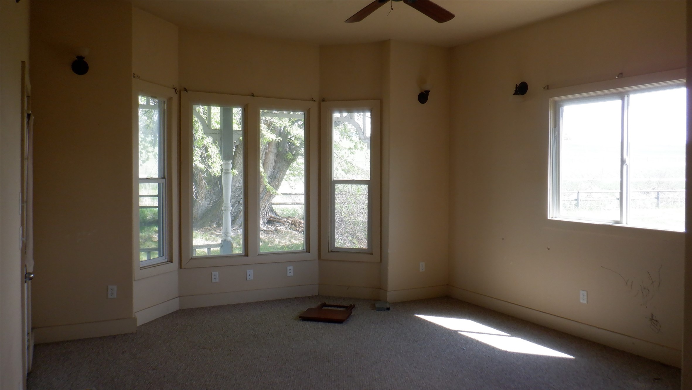 321 Black Lane