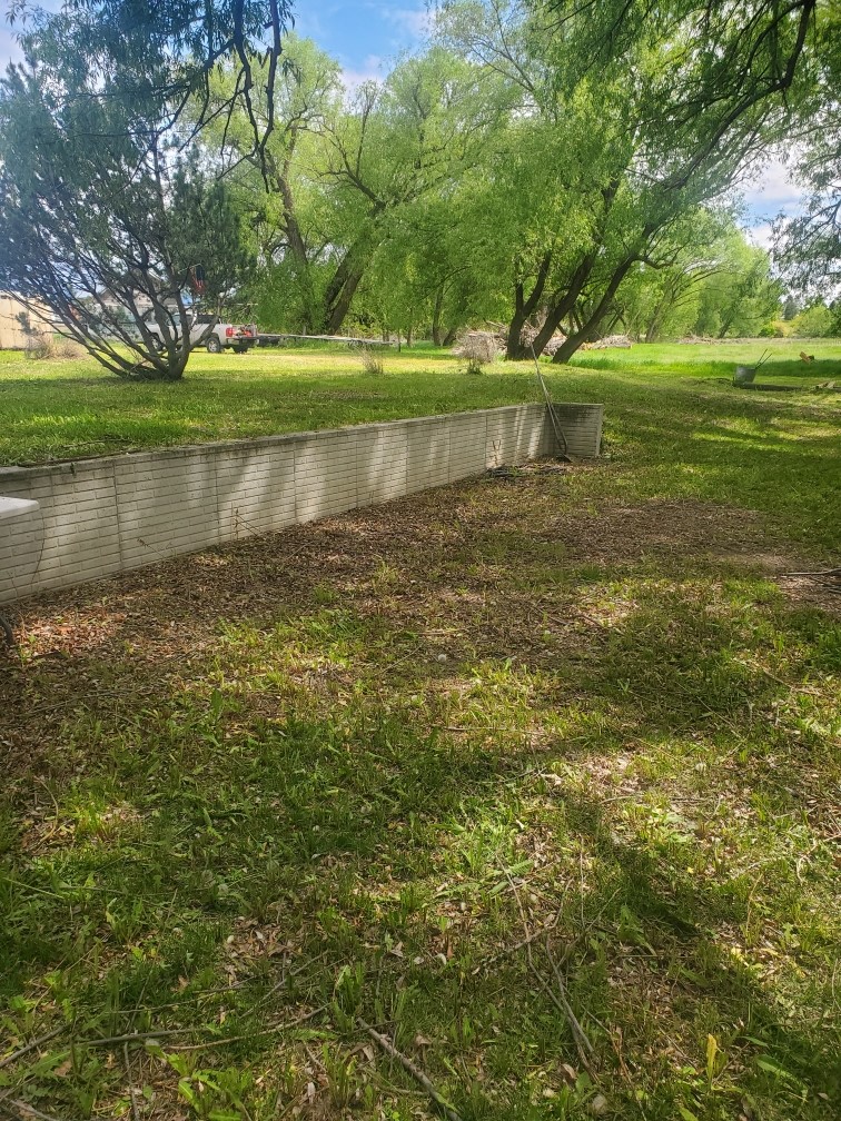 321 Black Lane
