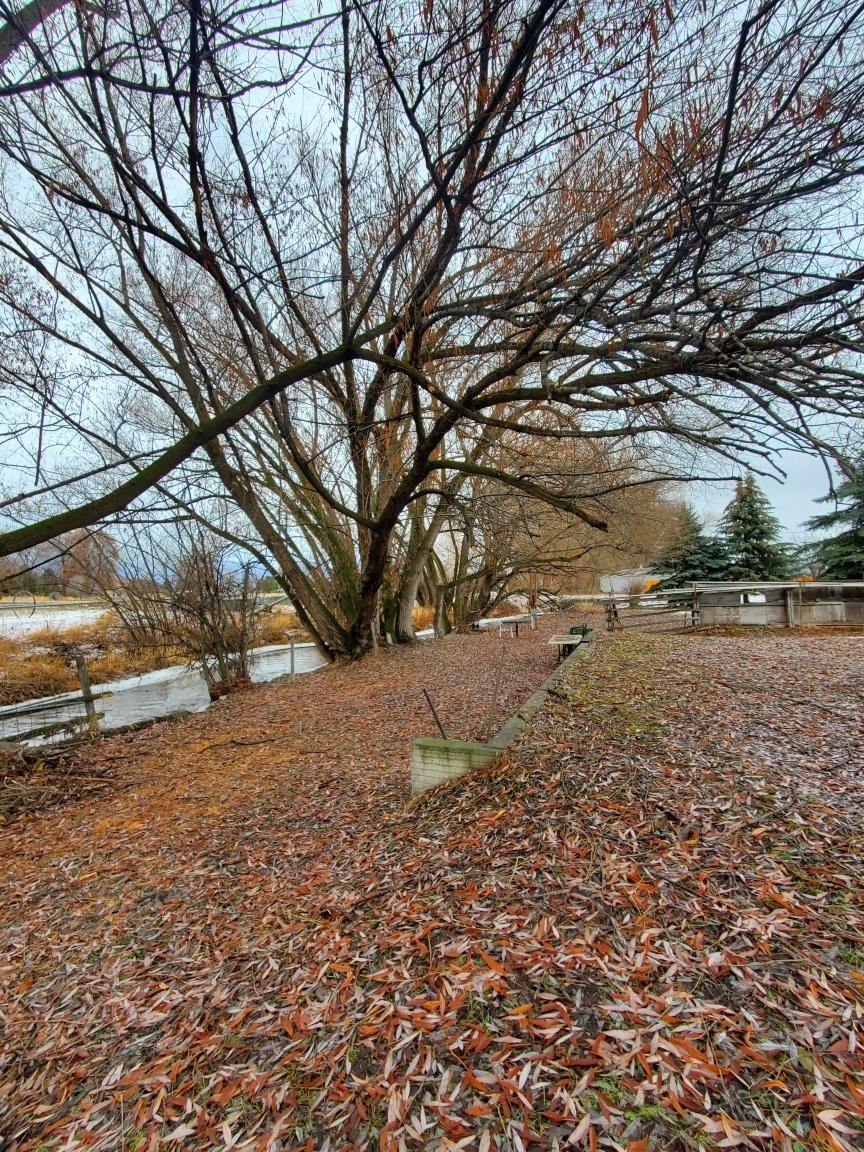 321 Black Lane