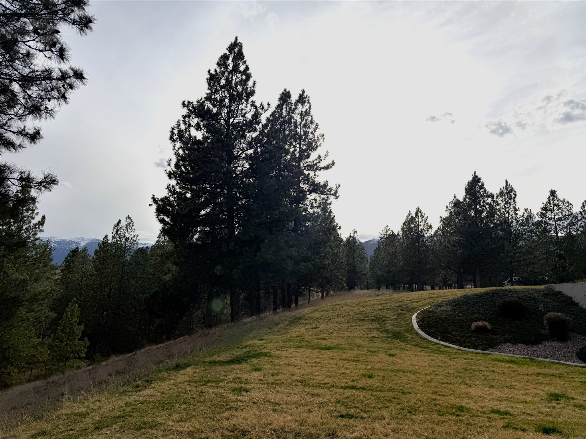 571 Cielo Vista