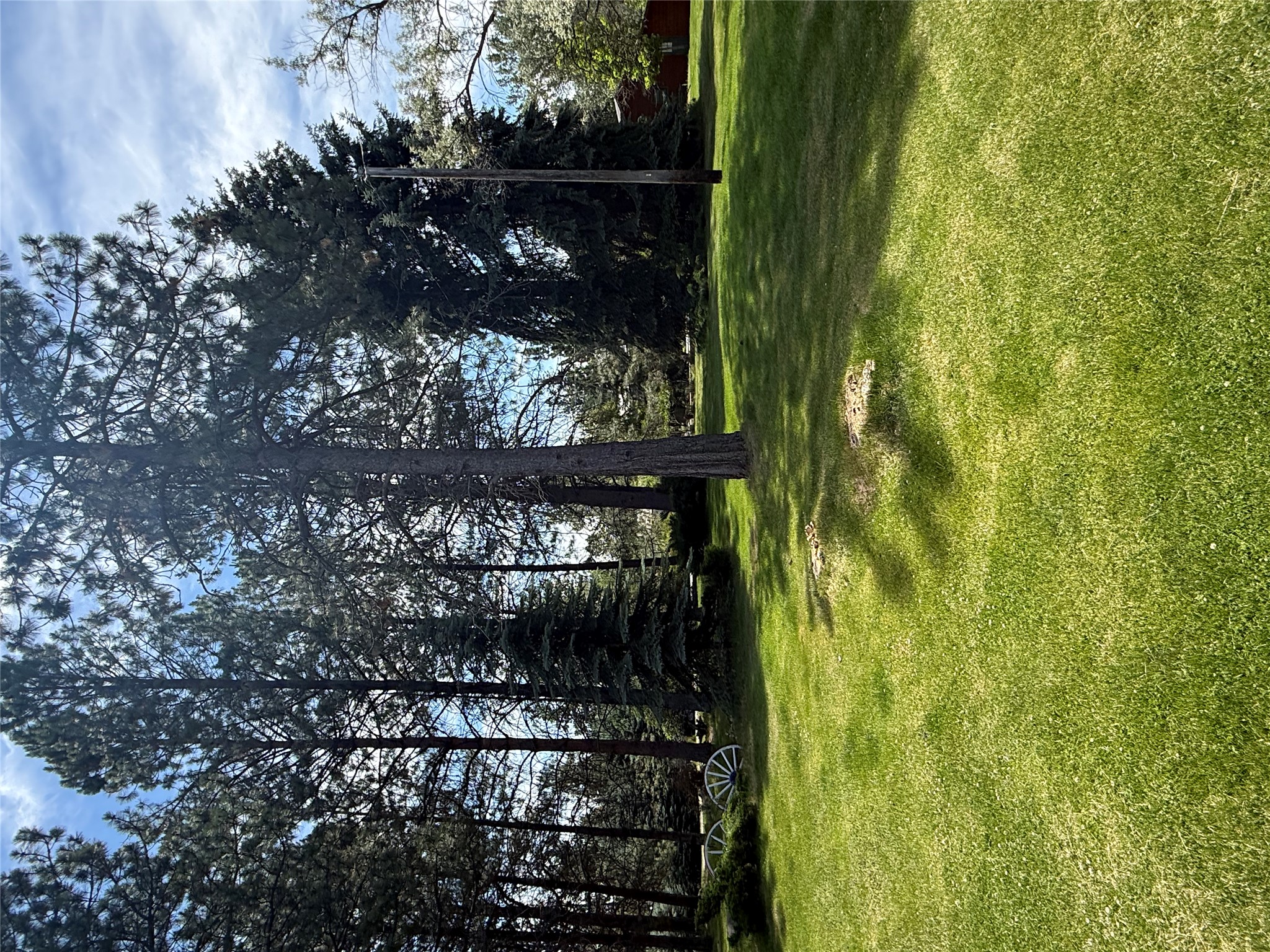109 Canyon Creek Drive