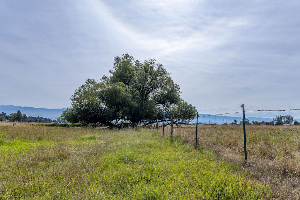 2032 Middle Bear Creek Road