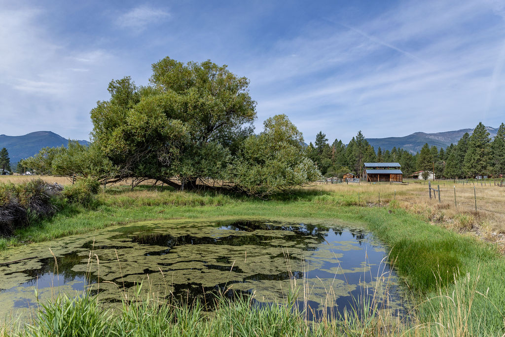2032 Middle Bear Creek Road