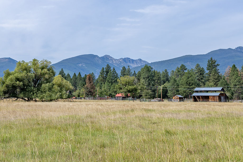 NHN Middle Bear Creek Road
